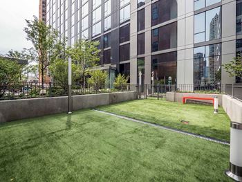 Dog Run at State & Chestnut Apartments, Chicago, IL 